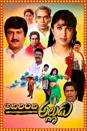 Adhirindhi Alludu