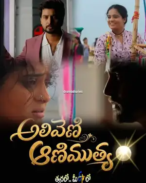Aliveni Animuthyam