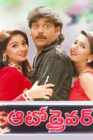 Auto Driver