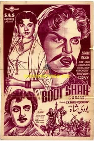 Bodi Shah