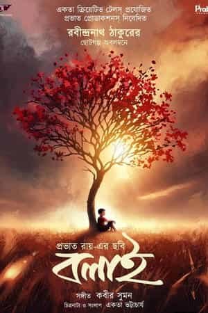 Bolai