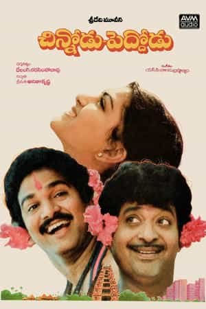 Chinnodu Peddodu