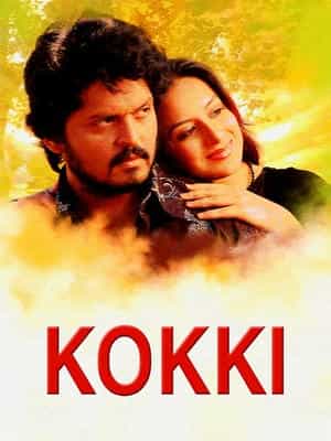 Kokki