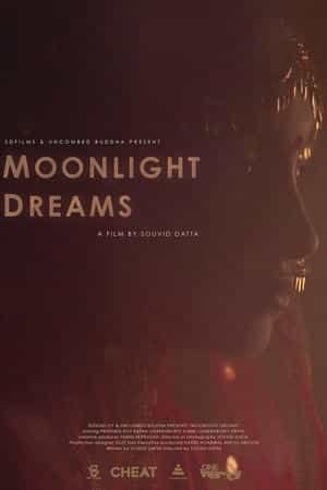 Moonlight Dreams