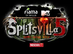 MTV Splitsvilla Season 5