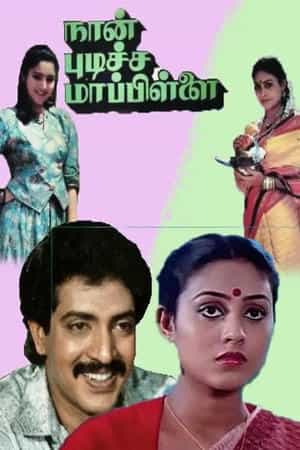 Naan Pudicha Mappillai