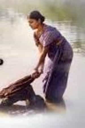 Nila Mastarani
