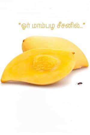 Or Mambala Seasonil