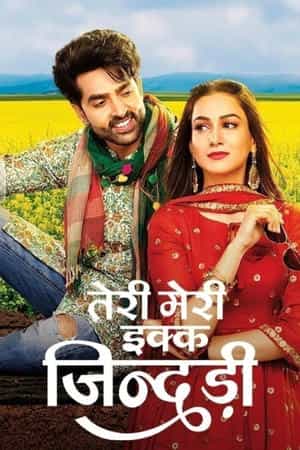 Teri Meri Ikk Jindri