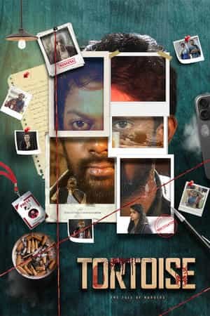 Tortoise: The Tale of Murders
